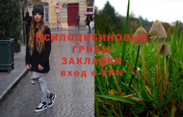 мяу мяу мука Новочеркасск