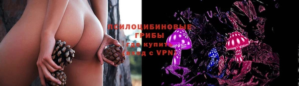 не бодяженный Липки