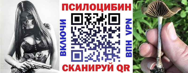 что такое   Альметьевск  Псилоцибиновые грибы мухоморы 