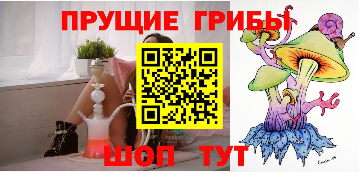 Псилоцибиновые грибы Cubensis Альметьевск