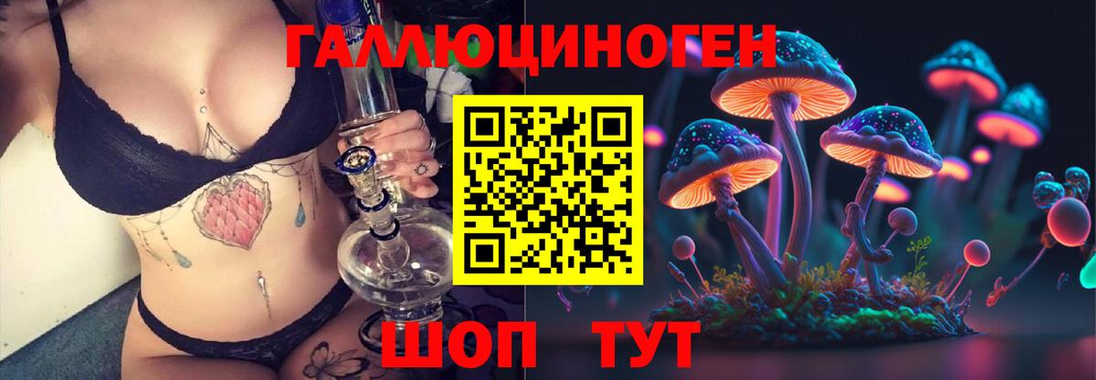 Псилоцибиновые грибы Psilocybe  Альметьевск 